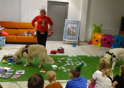 Cykle: Pies domownik – pies przyjaciel