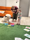Cztery łapy, setki uśmiechów – dogoterapia w jasielskiej bibliotece - Zdjęcie nr 16