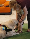 Cztery łapy, setki uśmiechów – dogoterapia w jasielskiej bibliotece - Zdjęcie nr 10