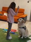 Cztery łapy, setki uśmiechów – dogoterapia w jasielskiej bibliotece - Zdjęcie nr 8