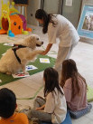 Cztery łapy, setki uśmiechów – dogoterapia w jasielskiej bibliotece - Zdjęcie nr 7