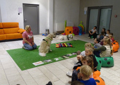 Cykle: Bezpieczny pies – bezpieczne dziecko