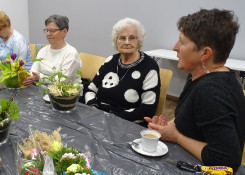 Kluby: Ogrody w szkle – małe światy zamknięte w przezroczystej przestrzeni